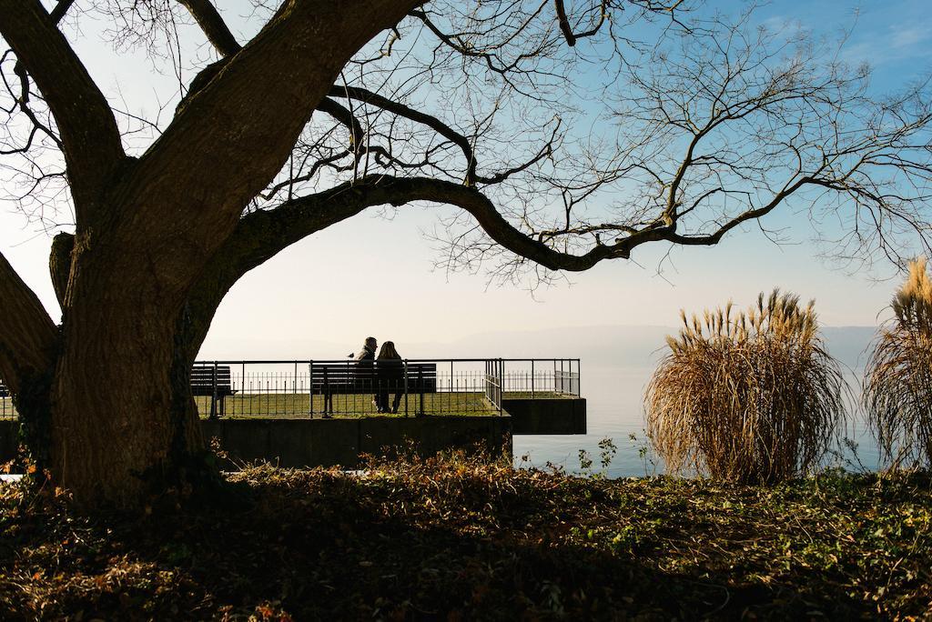 Apartment Haus Zur Gerberei 100 M Zum Bodensee