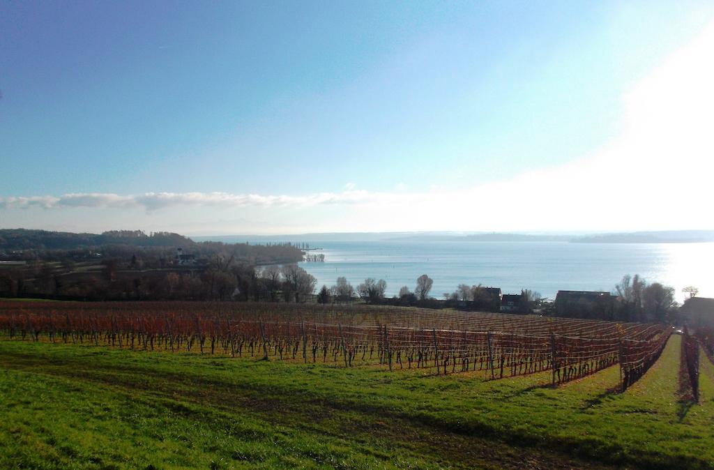 Apartment Haus Zur Gerberei 100 M Zum Bodensee