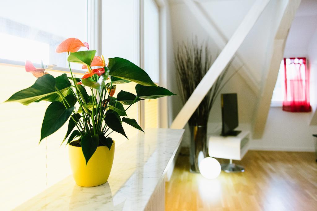 Haus Zur Gerberei Appartement